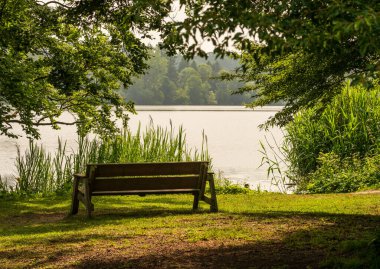 Shropshire, Ellesmere 'de sakin bir deniz kenarı sahnesi. Huzurlu bir göle bakan ahşap bir bank var. Düşünmeye zaman ayırıyor.