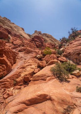 Nevada 'daki Red Rock Kanyonu' ndaki ılımlı Calico Tankları 'ndaki kırmızı kumtaşı oluşumlarının ayrıntıları.