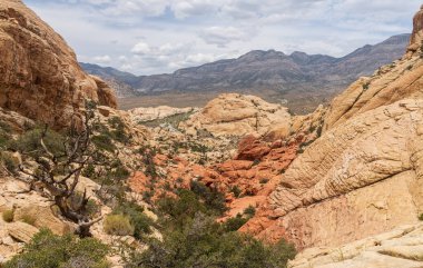 Nevada 'daki Red Rock Kanyonu' ndaki ılımlı Calico Tankları 'ndaki kırmızı kumtaşı oluşumlarının ayrıntıları.