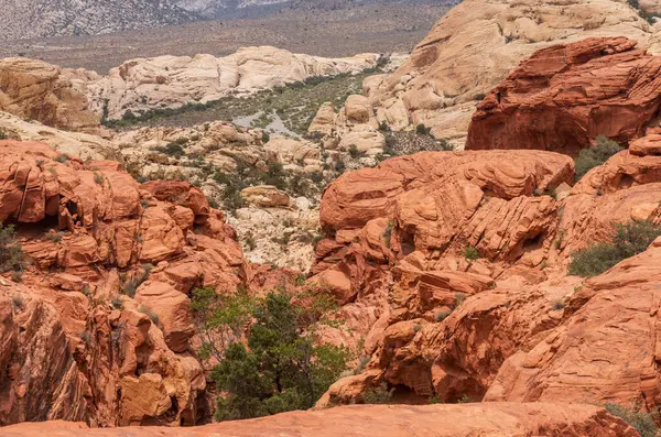 Nevada 'daki Red Rock Kanyonu' ndaki ılımlı Calico Tank Yolu 'na tırmanışa bakıyorum.