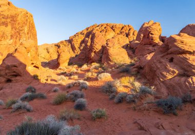 Nevada, Las Vegas 'ın kuzeyindeki Ateş Vadisi' ndeki Gökkuşağı Vista yolunda dramatik Aztek kumtaşı oluşumları.