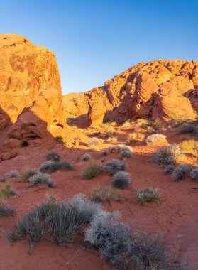 Nevada, Las Vegas 'ın kuzeyindeki Ateş Vadisi' ndeki Gökkuşağı Vista yolunda dramatik Aztek kumtaşı oluşumları.