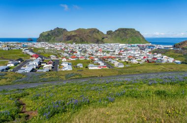 Heimaey Adaları İzlanda 'daki Vestmannaeyjabaer kasabası Eldfell Yanardağı' ndan