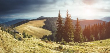 Güneş ışığıyla parlayan vadinin harika manzarası. Dramatik sahne ve resimli resim. Mekan Karpatlar, Ukrayna, Avrupa. Güzellik dünyası. Retro ve klasik tarzda. Instagram tonlama efekti