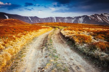 Bulutlu gökyüzünün altındaki kar manzarası harika. Dramatik sahne ve resimli resim. Mekan Karpatlar, Ukrayna, Avrupa. Güzellik dünyası. Retro ve klasik tarzda. Instagram tonlama efekti.