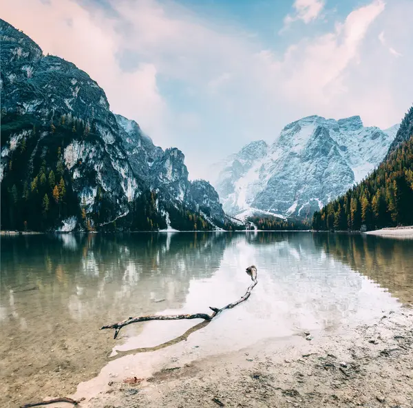 Wielka Scena Alpejskiego Jeziora Braies Pragser Wildsee Miejsce Położenia Dolomite — Zdjęcie stockowe