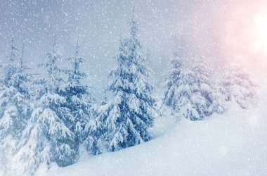 Sabahları güneş ışığıyla parlayan görkemli bir manzara. Dramatik kış sahnesi. Carpathian Ulusal Parkı, Ukrayna, Avrupa. Kayak merkezi. Güzellik dünyası. Instagram tonlama etkisi. Mutlu yıllar.!