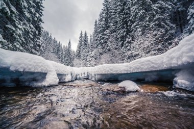 Sabahın köründe mucizevi bir nehir. Dramatik ve pitoresk kış manzarası. Karpatlar 'ın yeri, Ukrayna, Avrupa. Güzellik dünyası. Instagram tonlama etkisi. Parlayan filtre. Mutlu yıllar.!