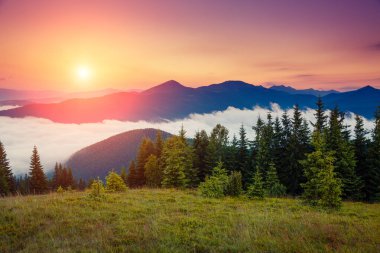 Fantastic foggy mountains glowing by sunlight. Dramatic and picturesque morning scene. Location Carpathian, Ukraine, Europe. Beauty world. Instagram toning. Warm toning effect. clipart