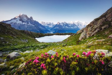 Beyaz Göl (Lac Blanc) ile Mont Blanc buzulu manzarası. Popüler turist eğlencesi. Resimli ve muhteşem bir sahne. Yerleşim yeri: Aiguilles Rouges, Graian Alpleri, Fransa, Avrupa.