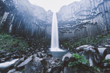 Svartifoss şelalesinin manzarası harika. Dramatik ve resimli bir sahne. Popüler turist eğlencesi. Ünlü yer Skaftafell Ulusal Parkı, Vatnajokull Buzulu, İzlanda, Avrupa. Güzellik dünyası.