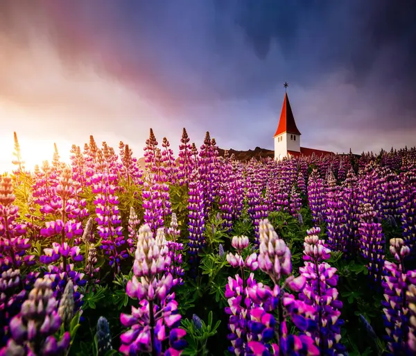 夕方の光の中でVikurkirkjaキリスト教会の素晴らしい景色 劇的で絵のようなシーン 人気の観光名所 場所Vik Myrdal村 アイスランド ヨーロッパ 美の世界 — ストック写真