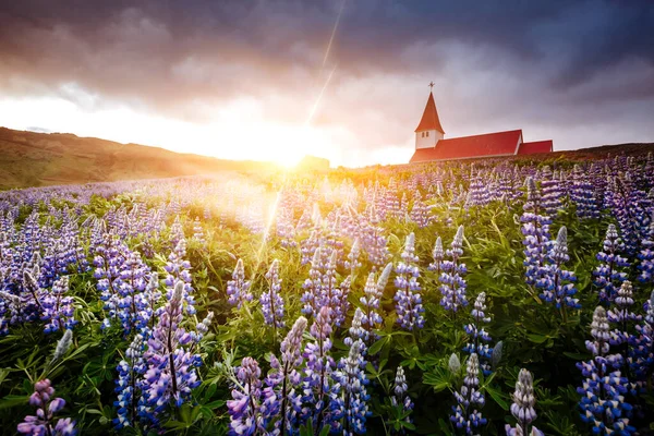 夕方の光の中でVikurkirkjaキリスト教会の素晴らしい景色 劇的で絵のようなシーン 人気の観光名所 場所Vik Myrdal村 アイスランド ヨーロッパ 美の世界 — ストック写真