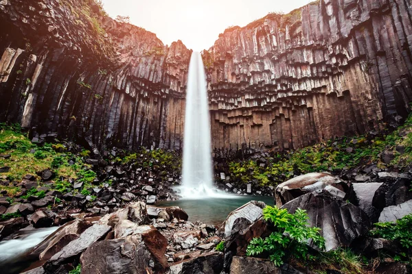 Great View Svartifoss Waterfall Dramatic Picturesque Scene Popular Tourist Attraction — Stock Photo, Image