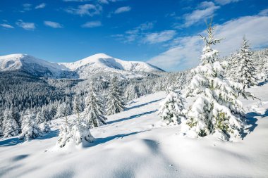 Güneş ışığıyla parlayan büyük beyaz şeritler. Muhteşem ve muhteşem kış manzarası. Ukrayna, Avrupa 'daki Karpatlar Milli Parkı' nda. Alpler kayak merkezi. Güzellik dünyası. Mavi tonlama. Mutlu yıllar.!
