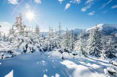 Güneş ışığıyla parlayan büyük beyaz şeritler. Muhteşem ve muhteşem kış manzarası. Ukrayna, Avrupa 'daki Karpatlar Milli Parkı' nda. Alpler kayak merkezi. Güzellik dünyası. Mavi tonlama. Mutlu yıllar.!