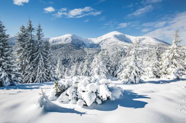 Güneş ışığıyla parlayan büyük beyaz şeritler. Muhteşem ve muhteşem kış manzarası. Ukrayna, Avrupa 'daki Karpatlar Milli Parkı' nda. Alpler kayak merkezi. Güzellik dünyası. Mavi tonlama. Mutlu yıllar.!