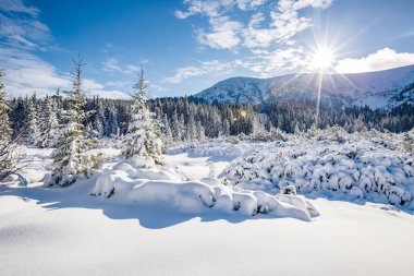Güneş ışığıyla parlayan büyük beyaz şeritler. Muhteşem ve muhteşem kış manzarası. Ukrayna, Avrupa 'daki Karpatlar Milli Parkı' nda. Alpler kayak merkezi. Güzellik dünyası. Mavi tonlama. Mutlu yıllar.!