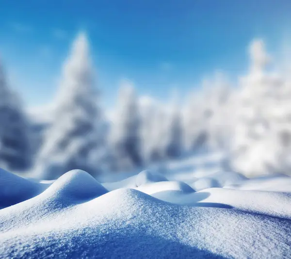 Majestueuze Sparren Gloeien Door Zonlicht Schilderachtige Prachtige Winterse Scène Locatie — Stockfoto