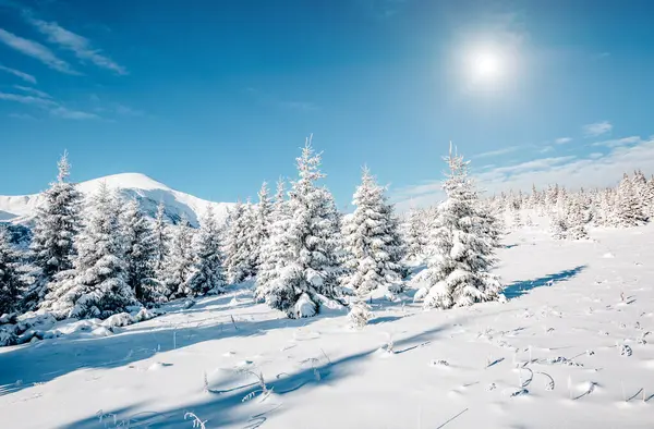 Güneş Işığıyla Parlayan Görkemli Beyaz Şeritler Sihirli Alışılmadık Kış Manzarası — Stok fotoğraf