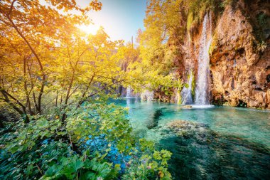 Turkuaz su ve güneşli ışınlar muhteşem görünüyor. Sıra dışı ve göz kamaştırıcı bir sahne. Ünlü tatil beldesi Plitvice Lakes Ulusal Parkı, Hırvatistan, Avrupa. Güzellik dünyası. Retro filtre. Instagram tonlama efekti.