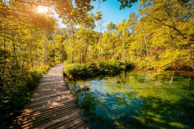 Görkemli manzara turkuaz su ve güneşli kirişler. Pitoresk ve muhteşem sahne. Popüler turistik. Konumu ünlü tatil Plitvice Gölleri Milli Parkı, Hırvatistan, Europe. Güzellik dünya. 