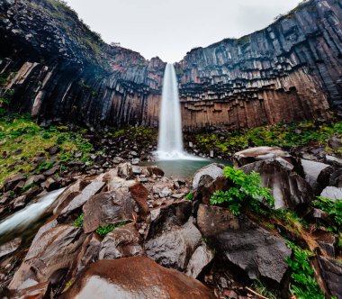 Svartifoss şelalesinin manzarası harika. Dramatik ve resimli bir sahne. Popüler turist eğlencesi. Ünlü yer Skaftafell Ulusal Parkı, Vatnajokull Buzulu, İzlanda, Avrupa. Güzellik dünyası.
