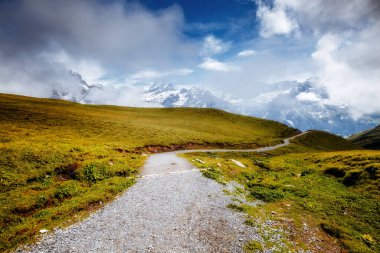 Alpine Hill manzarası harika. Resimli ve muhteşem bir sahne. Popüler turist eğlencesi. İsviçre Alpleri, Grindelwald Vadisi, Bernese Oberland, Avrupa. Güzellik dünyasını keşfedin.