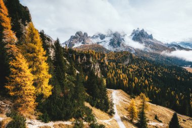 Sarı tarlaların manzarası harika. Dramatik ve muhteşem bir sahne. Ulusal Park Tre Cime di Lavaredo, Misurina, Dolomiti alp, Tyrol, İtalya, Avrupa. Eski tarz. Instagram etkisi. Güzellik dünyası.