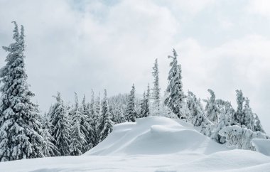 Güneş ışığıyla parlayan sihirli beyaz şeritler. Dramatik ve muhteşem kış manzarası. Karpatlar 'ın yeri, Ukrayna, Avrupa. Çapraz işlem filtresi, retro ve vintage tarzı. Instagram tonlama etkisi. Güzellik dünyası.