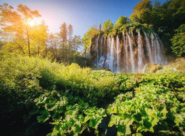 Görkemli manzara turkuaz su ve güneşli kirişler. Pitoresk ve muhteşem sahne. Popüler turistik. Konumu ünlü tatil Plitvice Gölleri Milli Parkı, Hırvatistan, Europe. Güzellik dünya. 