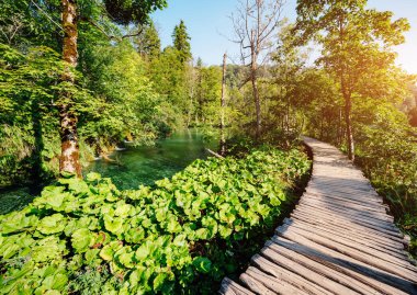 Görkemli manzara turkuaz su ve güneşli kirişler. Pitoresk ve muhteşem sahne. Popüler turistik. Konumu ünlü tatil Plitvice Gölleri Milli Parkı, Hırvatistan, Europe. Güzellik dünya. 