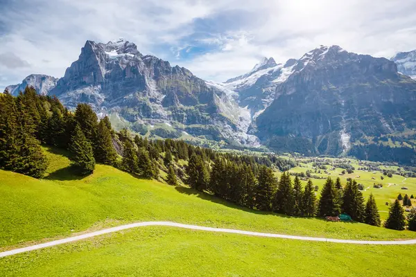 高山艾格尔村的景色令人印象深刻 风景如画的场景 受欢迎的旅游胜地 瑞士阿尔卑斯山脉 格林德沃尔德山谷 位于欧洲贝内塞奥伯兰 无人机摄影 美丽的世界 — 图库照片