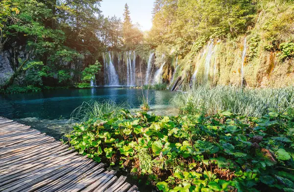 Görkemli manzara turkuaz su ve güneşli kirişler. Pitoresk ve muhteşem sahne. Popüler turistik. Konumu ünlü tatil Plitvice Gölleri Milli Parkı, Hırvatistan, Europe. Güzellik dünya. 