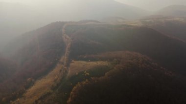 Alp arazisindeki yuvarlanan tepelerin muhteşem manzarası. Yukarıdan aşağıya doğru kırsal bölge üzerinden çekilmiş bir görüntü. Karpat Dağları 'nın yeri, Ukrayna, Avrupa. Toprağın güzelliği. 4K 'da çekilmiş..