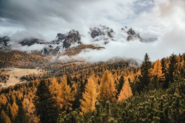 Sarı tarlaların manzarası harika. Dramatik ve muhteşem bir sahne. Ulusal Park Tre Cime di Lavaredo, Misurina, Dolomiti alp, Tyrol, İtalya, Avrupa. Eski tarz. Instagram etkisi. Güzellik dünyası.