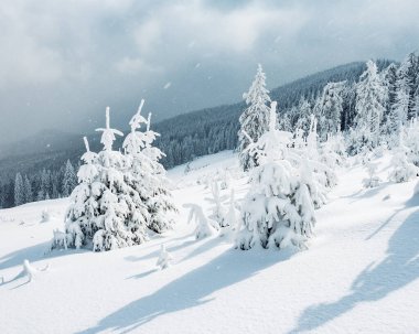 Güneş ışığıyla parlayan sihirli beyaz şeritler. Dramatik ve muhteşem kış manzarası. Karpatlar 'ın yeri, Ukrayna, Avrupa. Çapraz işlem filtresi, retro ve vintage tarzı. Instagram tonlama etkisi. Güzellik dünyası.