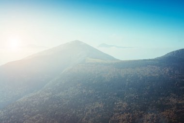 Güneş ışığıyla parlayan Alp Vadisi 'nin harika manzarası. Dramatik ve resimli bir sahne. Yeri Karpatyalı, Yaremche, Ukrayna, Avrupa. Retro ve klasik tarzda. Instagram etkisi. Güzellik dünyası.