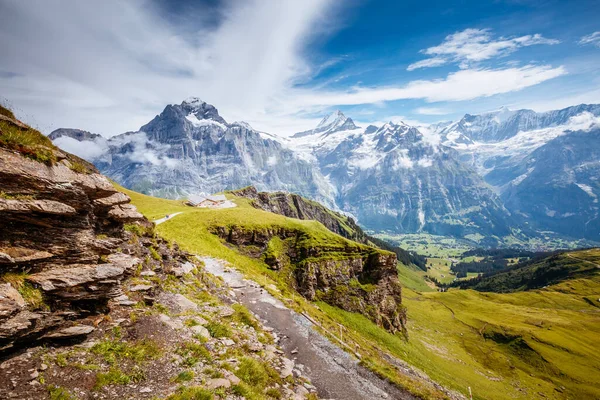 Alpine Hill manzarası harika. Resimli ve muhteşem bir sahne. Popüler turist eğlencesi. İsviçre Alpleri, Grindelwald Vadisi, Bernese Oberland, Avrupa. Güzellik dünyasını keşfedin.