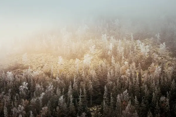 美丽的高山山谷 阳光灿烂 戏剧化和风景如画的场面 Carpathian Yaremche Ukraine Europe 复古和复古风格 Instagram效应 美丽的世界 — 图库照片