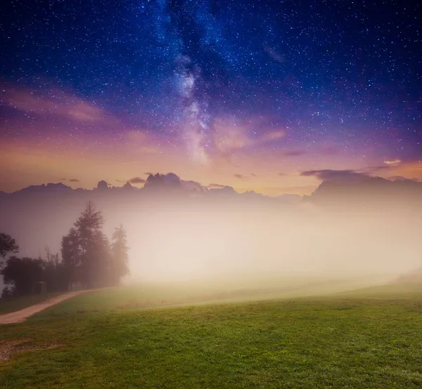 Green Grass Field Starry Light Location Place Triglav National Park — Stock Photo, Image