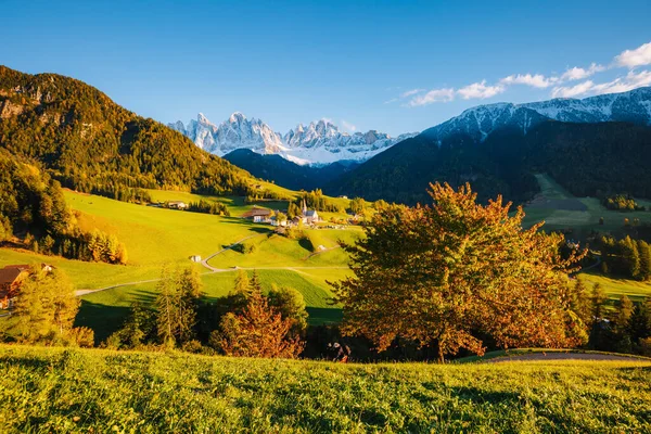 스노타 막달레나 마을에서 화창한 그림과 화려한 유명한 Funes Odle Dolomiti 로열티 프리 스톡 사진