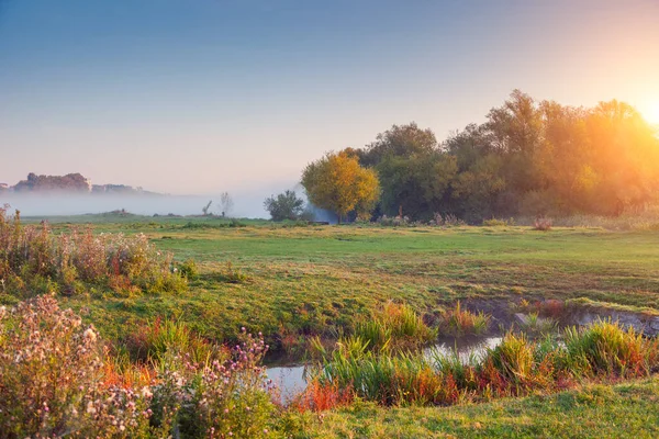 日光に新鮮な緑の草が付いている幻想的な霧のフィールド 珍しく絵画的なシーン 場所はセレット川 テルノピル ウクライナ ヨーロッパ 美の世界 レトロスタイルフィルター インスタグラムトーニング ストックフォト