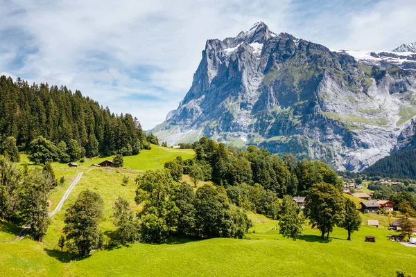 Zonnig Uitzicht Alpine Eiger Dorp Een Pittoreske Scène Populaire Toeristische Rechtenvrije Stockafbeeldingen