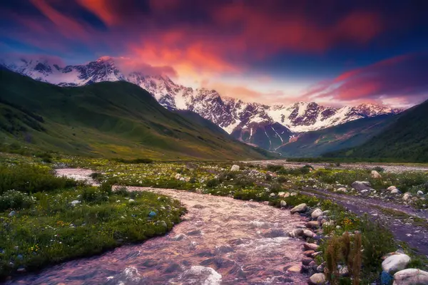 Velké Údolí Denního Světla Úpatí Hory Shkhara Malebná Nádherná Ranní Royalty Free Stock Obrázky