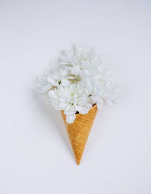 Beyaz arka planda dondurma külahında eşsiz bir çiçek. Çiçek aranjmanı, düz yatış stili. Üst Manzara. Yay duvar kâğıdı için yaratıcı ve hayat dolu bir fikir. Resimli ve muhteşem bir sahne. Güzellik dünyası.