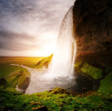 Ünlü güçlü Seljalandsfoss şelalesinin gün ışığındaki mükemmel manzarası. Dramatik ve muhteşem bir sahne. Popüler turist eğlencesi. İzlanda 'da bir yer, Avrupa turu. Güzellik dünyasını keşfedin.