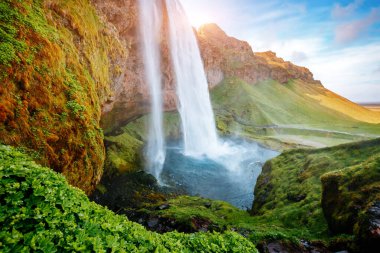 Ünlü güçlü Seljalandsfoss şelalesinin gün ışığındaki mükemmel manzarası. Dramatik ve muhteşem bir sahne. Popüler turist eğlencesi. İzlanda 'da bir yer, Avrupa turu. Güzellik dünyasını keşfedin.