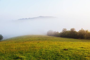 Sabah ışığında Alp Vadisi 'ne bir bakış. Harika bir gün ve muhteşem bir sahne. Mekan Karpatlar, Ukrayna 'nın manzaralı zenginliği, Avrupa. Açık havada mükemmel bir tatil. Dünyanın güzelliğini keşfedin.