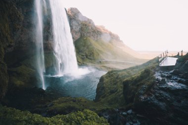 Ünlü güçlü Seljalandsfoss şelalesinin gün ışığındaki mükemmel manzarası. Dramatik ve muhteşem bir sahne. İzlanda 'da bir yer, Avrupa turu. Instagram etkisi. Güzellik dünyasını keşfedin.